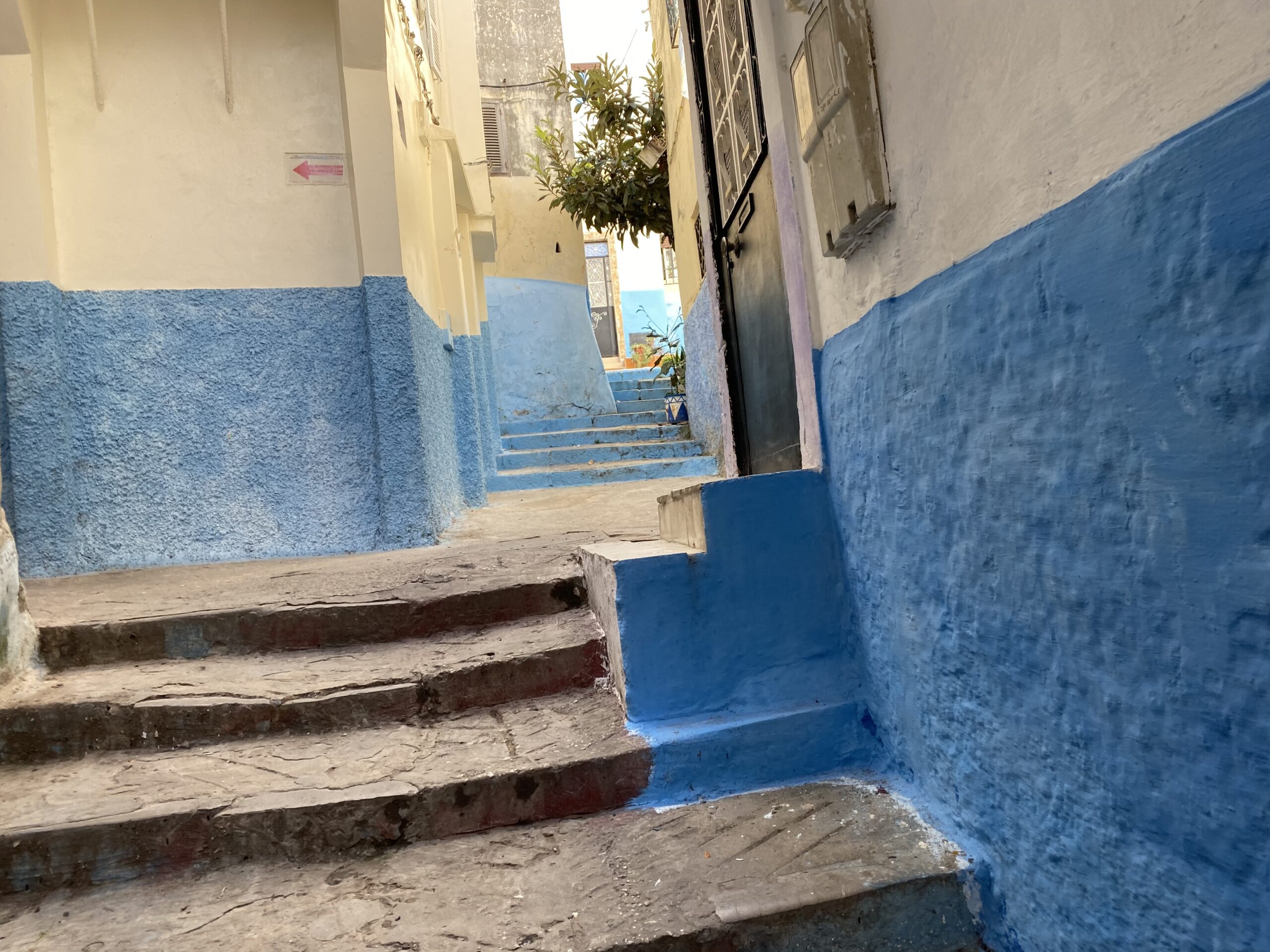 モロッコ タンジェで本物の現地人に教えてもらった 現地人が通うレストラン 亀沢電波